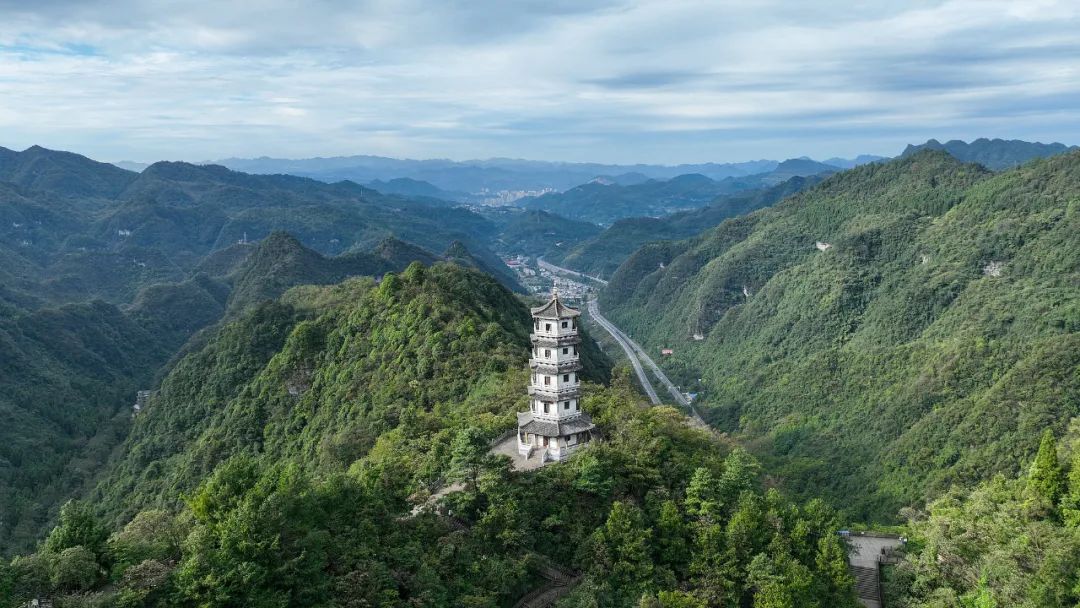 图片 图片