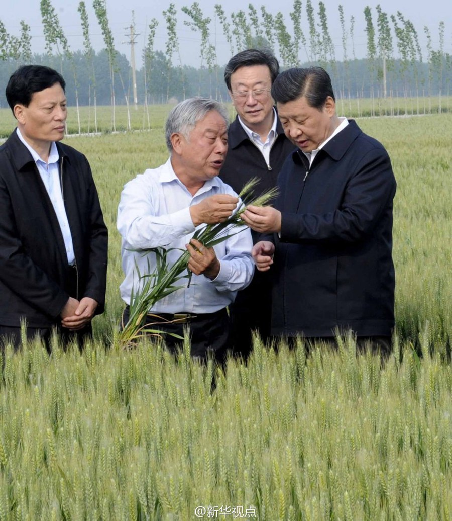 2014年5月,习近平总书记在河南省尉氏县张市镇高标准粮田察看小麦长势。 2014年5月,习近平总书记在河南省尉氏县张市镇高标准粮田察看小麦长势。