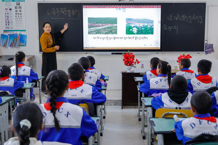 2024年9月27日,在四川省甘孜藏族自治州道孚县城关第一完全小学,采取“藏加模式”教学的五年级一班的藏语文课上,准木周老师指导藏族学生以家乡草原风物为主题写作藏语文作文。新华社记者 沈伯韩 摄 2024年9月27日,在四川省甘孜藏族自治州道孚县城关第一完全小学,采取“藏加模式”教学的五年级一班的藏语文课上,准木周老师指导藏族学生以家乡草原风物为主题写作藏语文作文。新华社记者 沈伯韩 摄