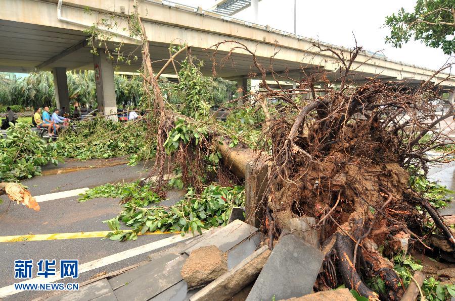 台风过境后的海口:校车被吹侧翻 工地塔吊欲坠