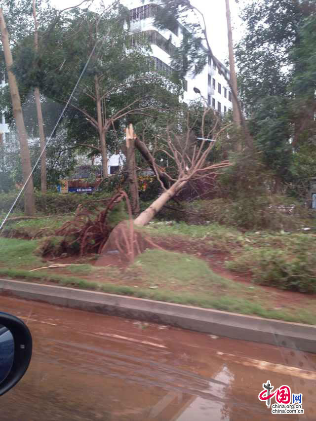 台风过境后的海口:校车被吹侧翻 工地塔吊欲坠