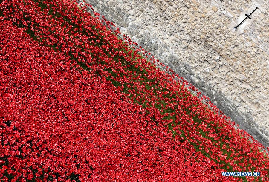 BRITAIN-LONDON-TOWER OF LONDON-COMMEMORATION-WWI-POPPIES