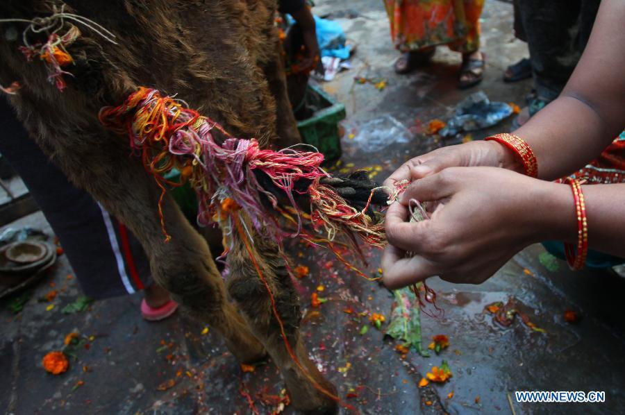 NEPAL-KATHMANDU-TIHAR FESTIVAL