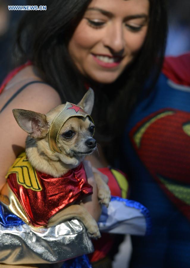 Annual Halloween Dog Parade held in NYC