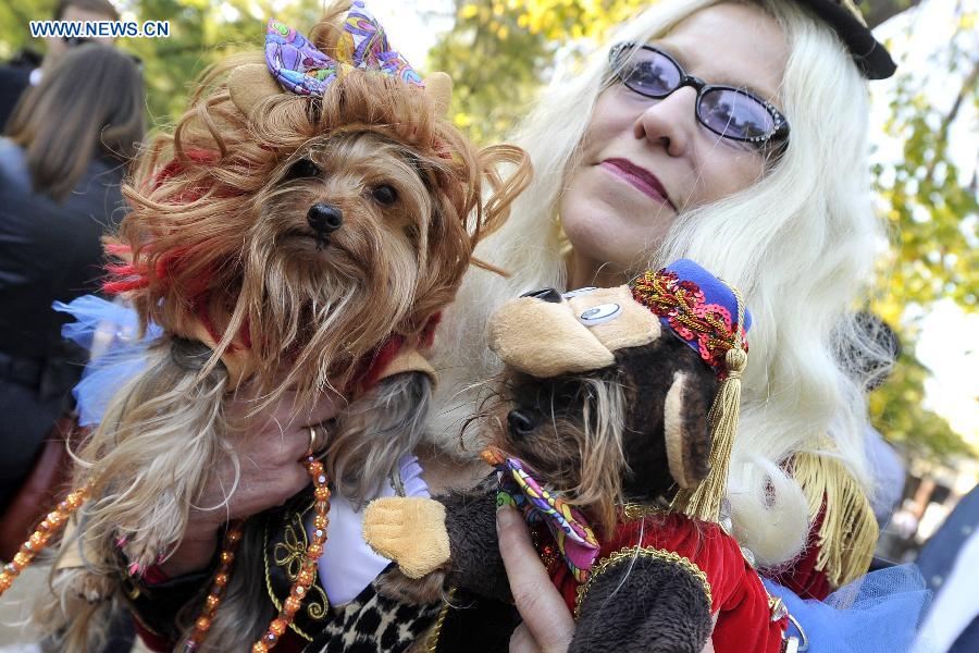 Annual Halloween Dog Parade held in NYC