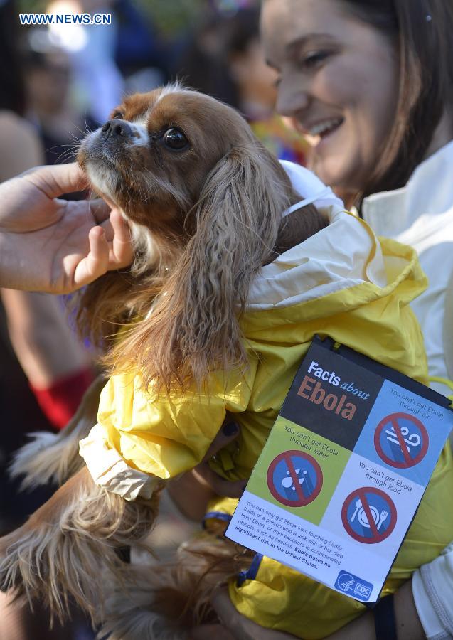 Annual Halloween Dog Parade held in NYC