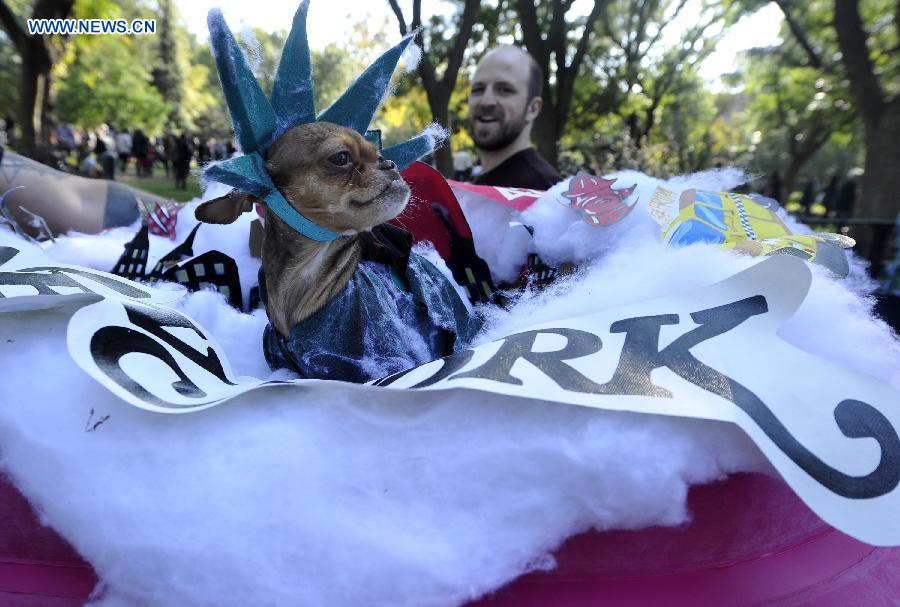 Annual Halloween Dog Parade held in NYC