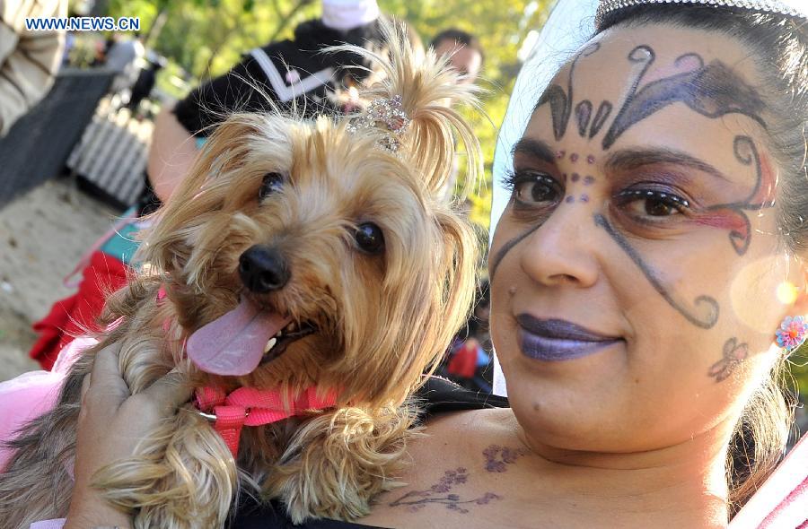 Annual Halloween Dog Parade held in NYC