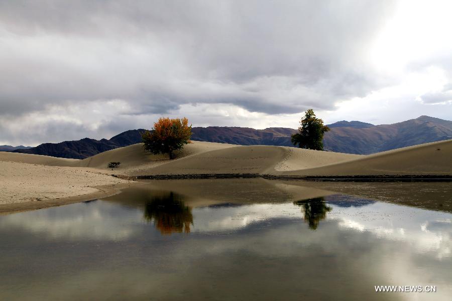 Photo taken on Oct. 25, 2014 shows the scenery of a tidal wetland in Gonggar County, southwest China's Tibet Autonomous Region. (Xinhua/Pan Xu)  