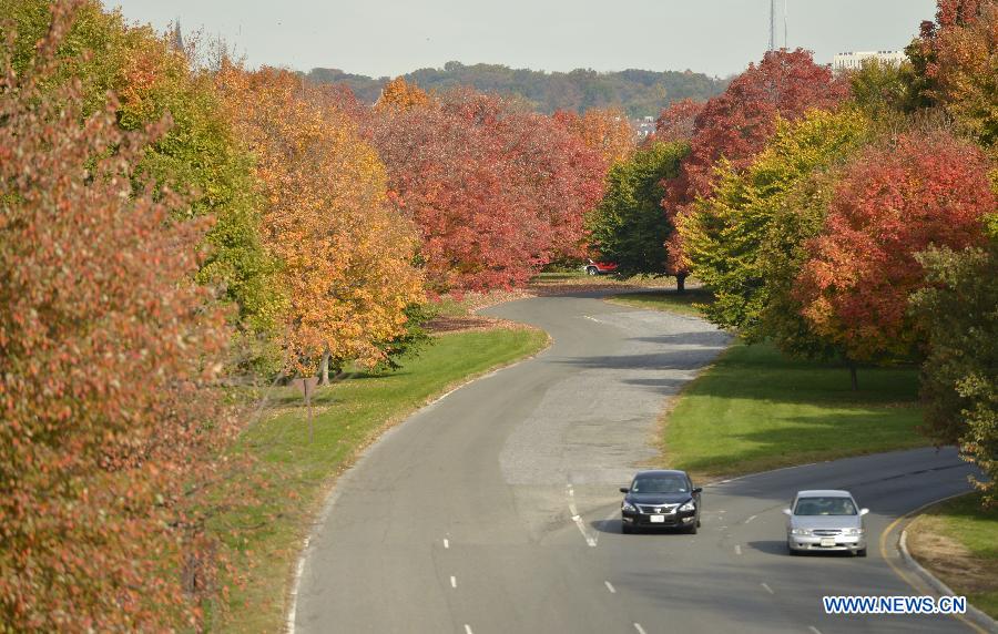 In pictures: fall foliage in in Washington D.C., capital of US