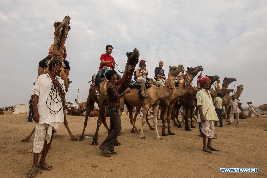Tourists ride on camels at a camel market on the day before the Camel Festival in Pushkar of Rajasthan, India, Oct. 30, 2014. 