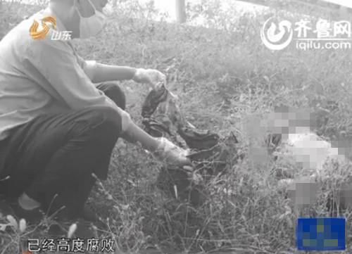 没杀多少人口_博社村人口多少