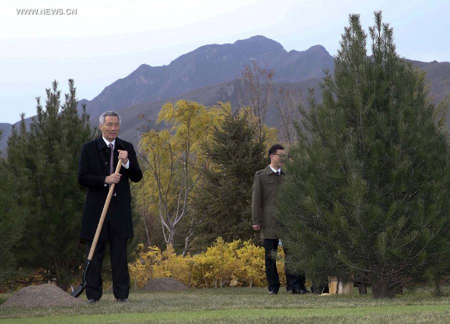 (APEC 2014) CHINA-BEIJING-ECONOMIC LEADERS’ MEETING-TREES (CN)