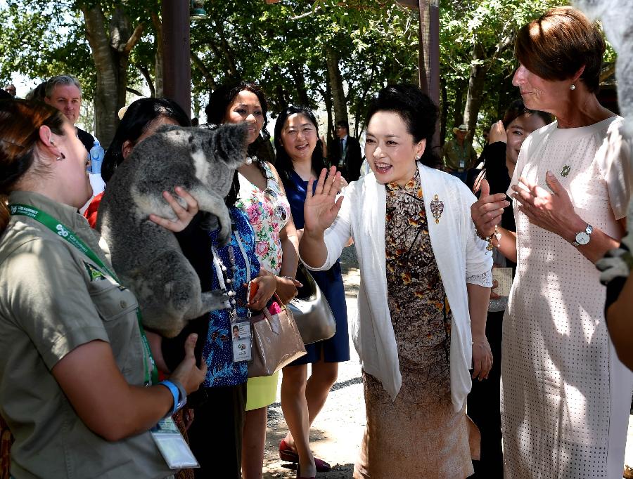 AUSTRALIA-BRISBANE-PENG LIYUAN-KOALA ZOO-VISIT