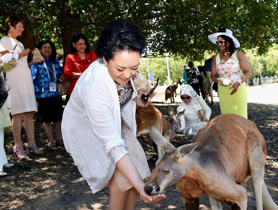 AUSTRALIA-BRISBANE-PENG LIYUAN-KOALA ZOO-VISIT