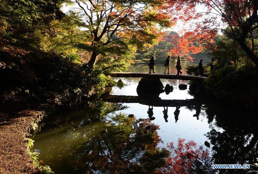 Visitors view red leaves in late autumn at a park in Tokyo, Japan, Nov. 27, 2014. 