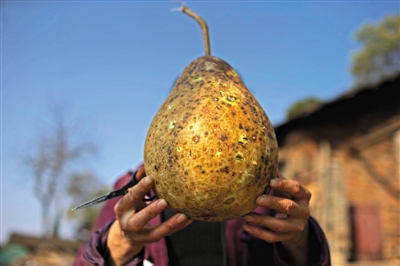 Դȷ ϻ