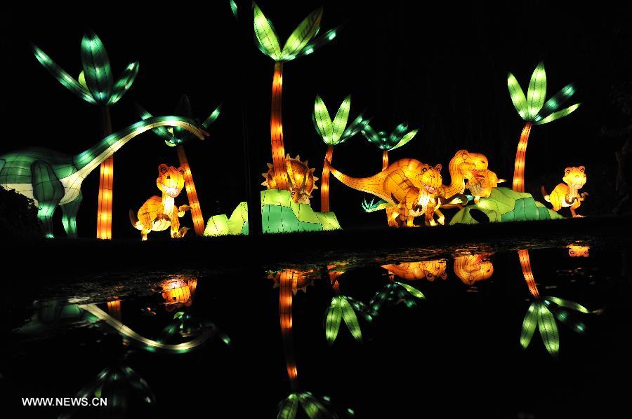 BELGIUM-ANTWERP-ZOO-LIGHT-SHOW-CHINA