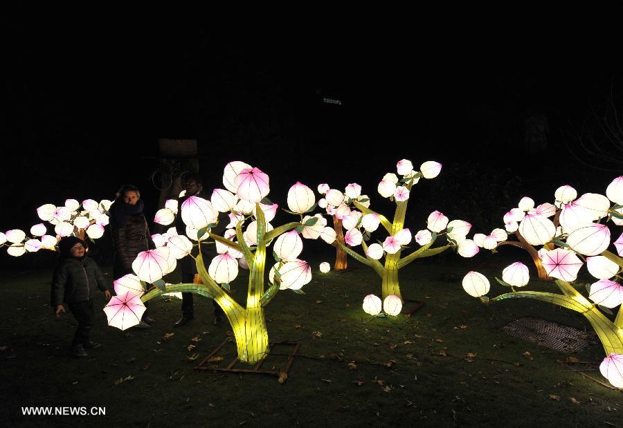 BELGIUM-ANTWERP-ZOO-LIGHT-SHOW-CHINA