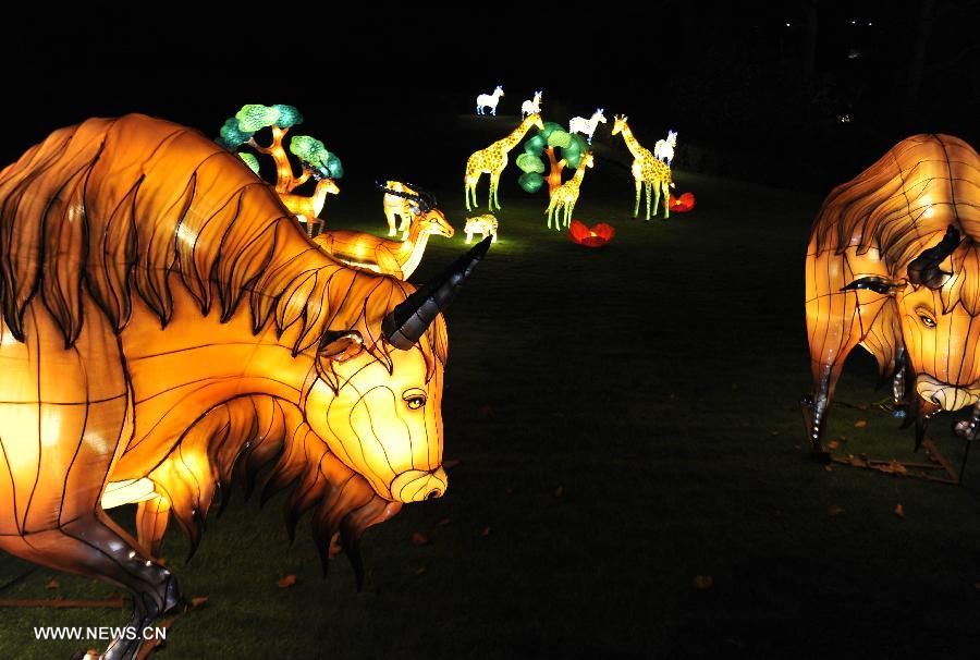 BELGIUM-ANTWERP-ZOO-LIGHT-SHOW-CHINA