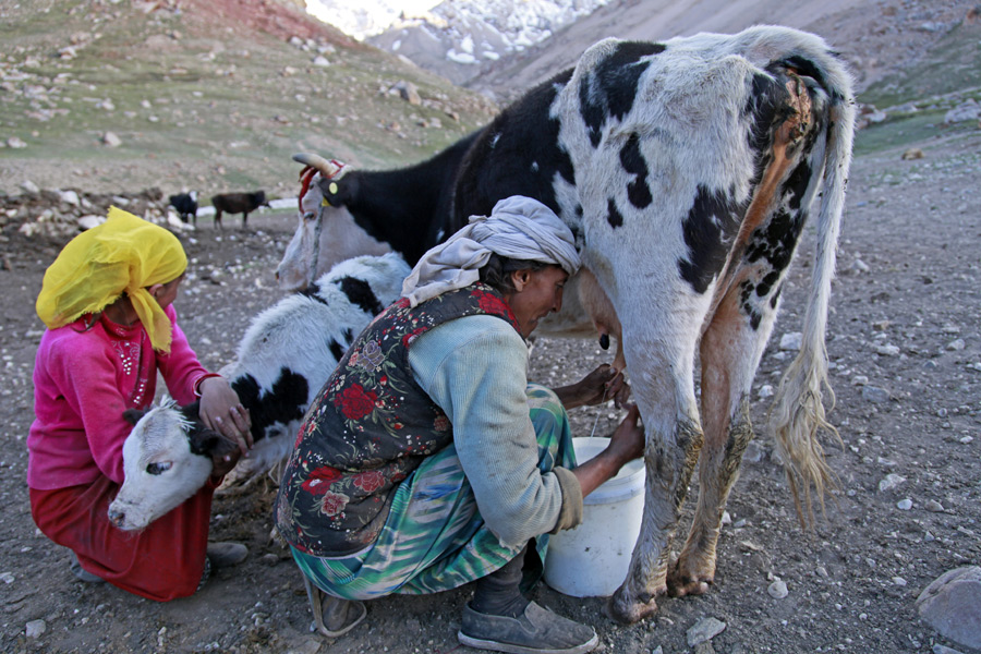 Ethnic Tajik life through the lens of a solider (Part II)