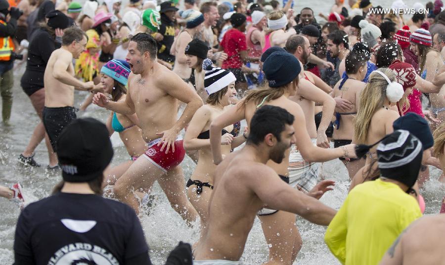 (SP)CANADA-TORONTO-POLAR BEAR DIP     