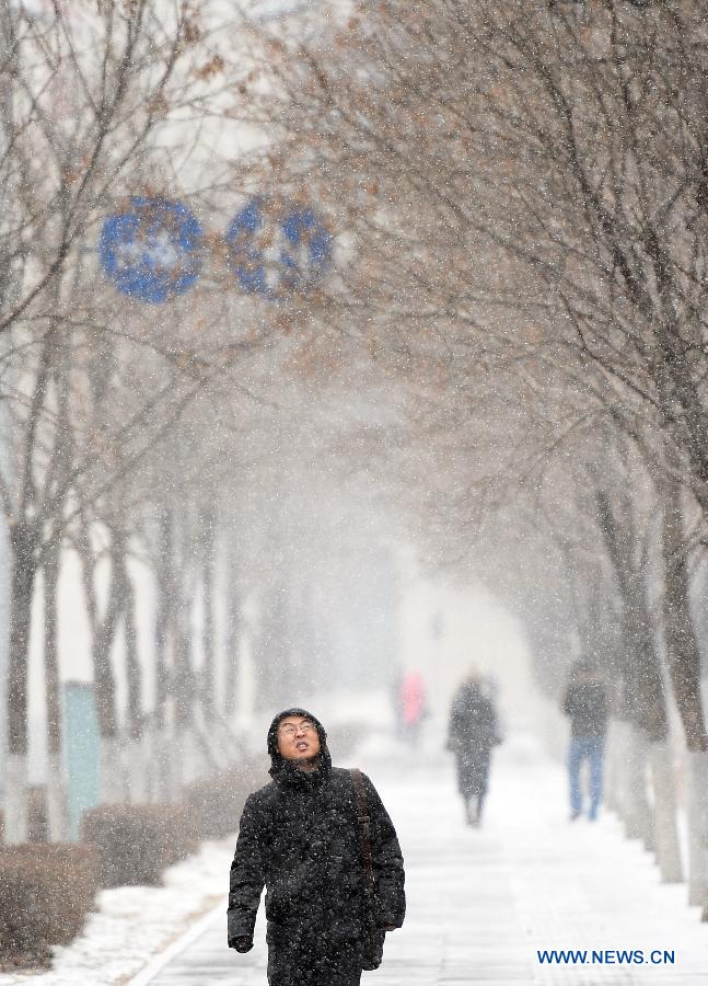 A man walks in snow in Shenyang, capital of northeast China's Liaoning Province, Jan. 5, 2015. The city's meteorological station issued a blue alert for cold wave on Monday. (Xinhua/Yao Jianfeng) 