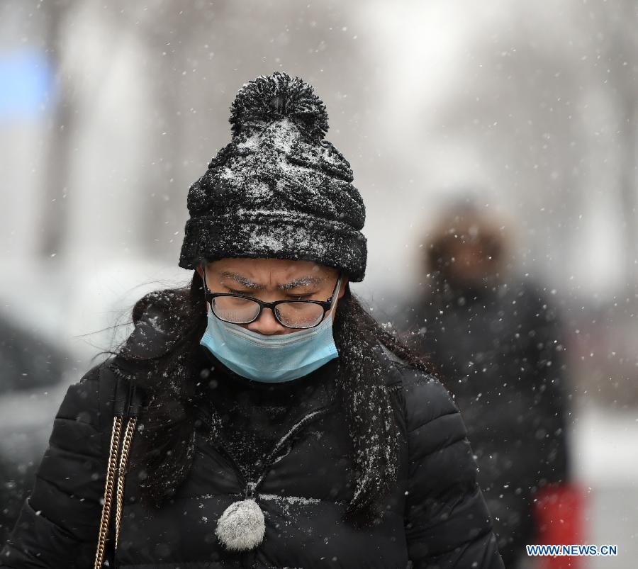 A woman walks in snow in Shenyang, capital of northeast China's Liaoning Province, Jan. 5, 2015. The city's meteorological station issued a blue alert for cold wave on Monday. (Xinhua/Yao Jianfeng) 