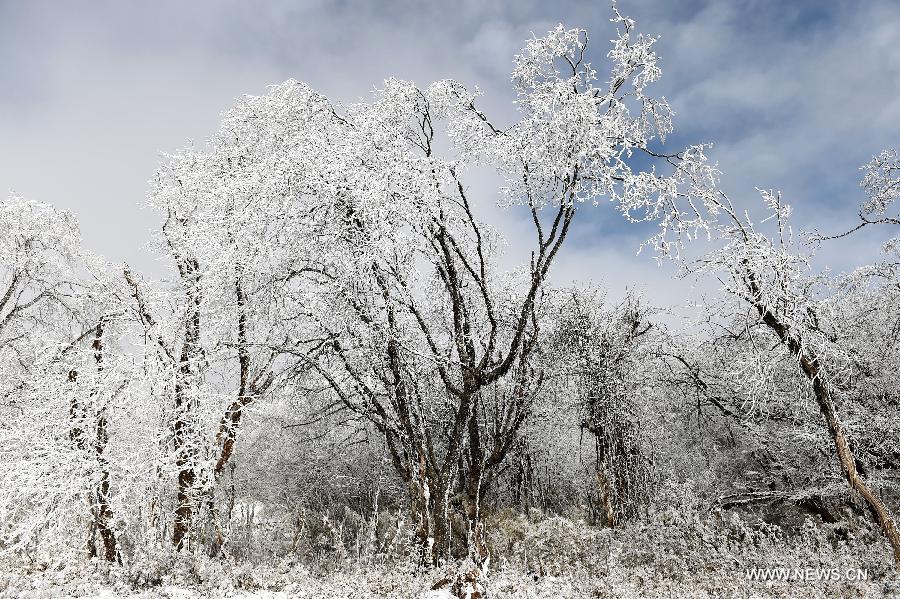 Many areas located in west and north Sichuan Province with high altitudes witnessed the first snow of 2015 on Tuesday, the Slight Cold, the 23rd solar term according to the traditional Chinese lunar calendar. 