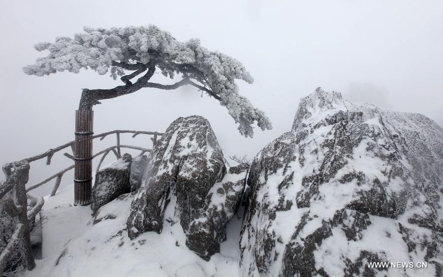 Photo taken on Jan. 13, 2015 shows the snow scenery of Huangshan Mountain in Huangshan City, east China's Anhui Province. (Xinhua/Shi Yalei)