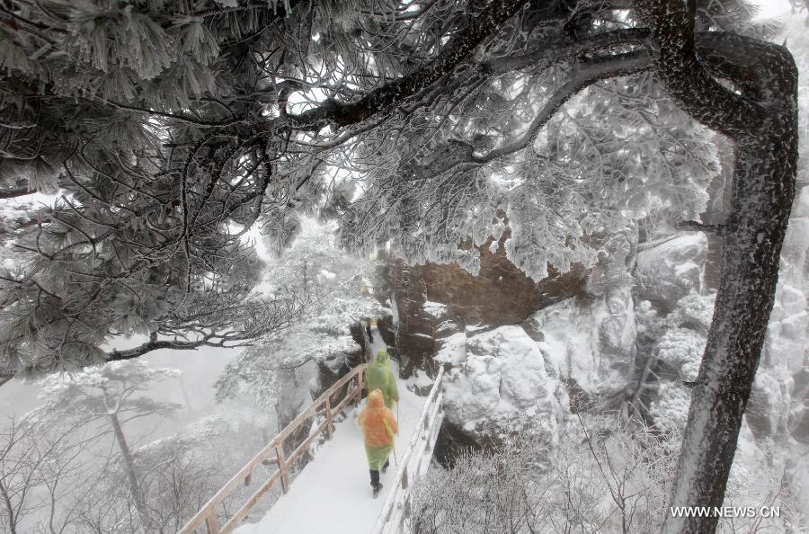 Tourists visit Huangshan Mountain after a snowfall in Huangshan City, east China's Anhui Province, Jan. 13, 2015. (Xinhua/Shi Yalei)