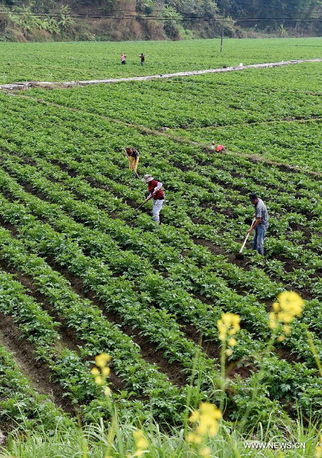 Local farmers have made preparations for spring plowing works.