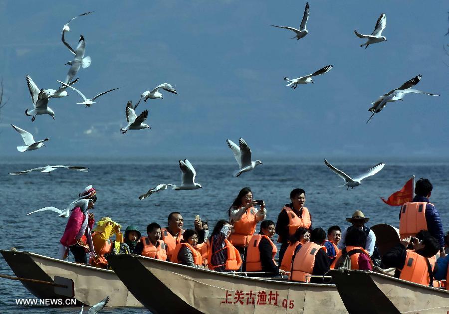 As spring approaches, the scenery on the bank of Erhai Lake has attracted many tourists. 