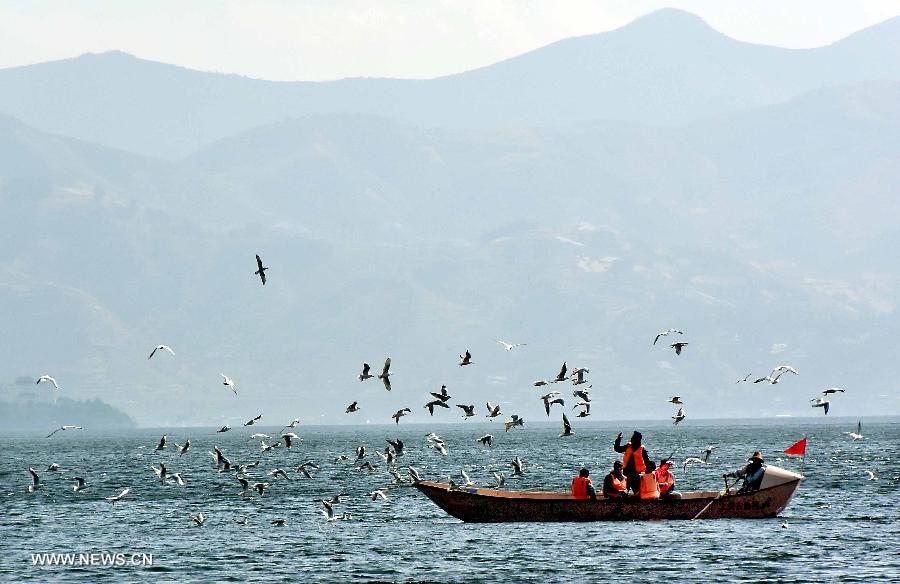 As spring approaches, the scenery on the bank of Erhai Lake has attracted many tourists. 