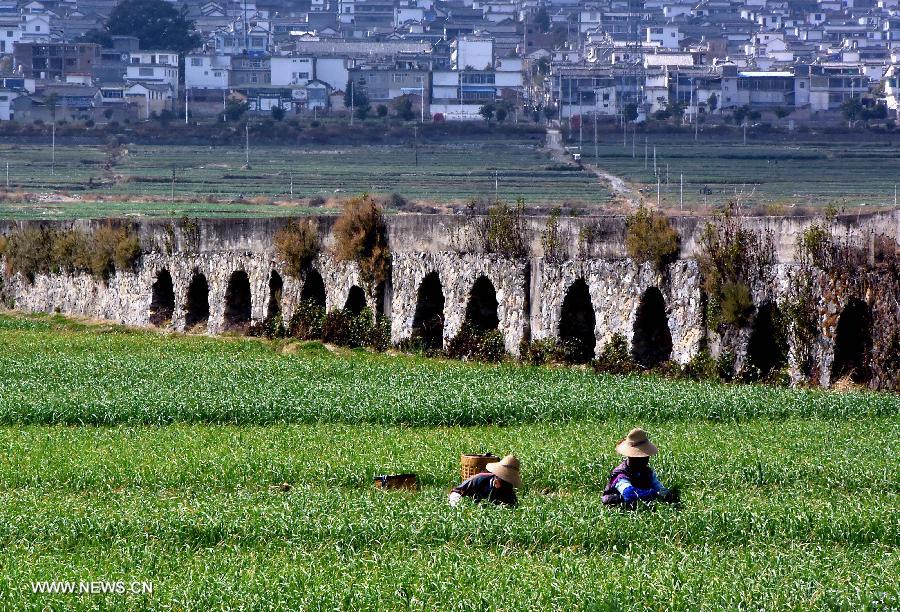 As spring approaches, the scenery on the bank of Erhai Lake has attracted many tourists. 