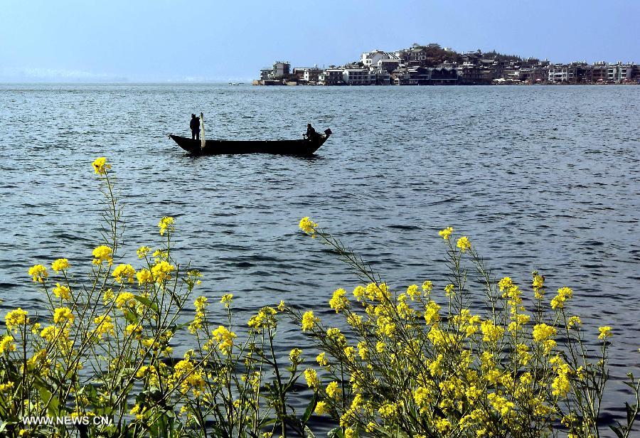 As spring approaches, the scenery on the bank of Erhai Lake has attracted many tourists.