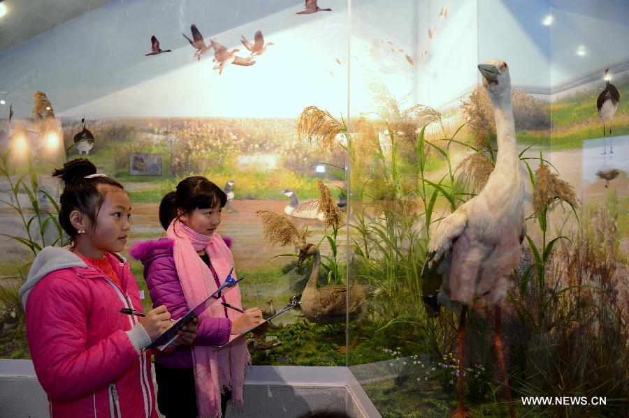 Children visit a museum at Min River Estuary National Wetland Park in Changle of Fuzhou, southeast China's Fujian Province, on the occasions of World Wetland Day, on Feb. 2, 2015.