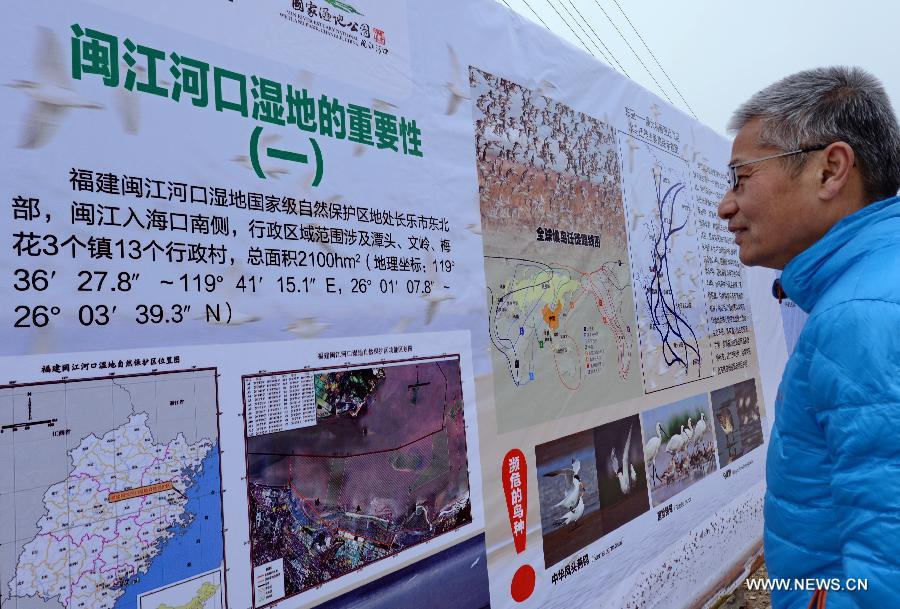 A man looks at a board at Min River Estuary National Wetland Park in Changle of Fuzhou, southeast China's Fujian Province, on the occasions of the World Wetland Day, on Feb. 2, 2015. 