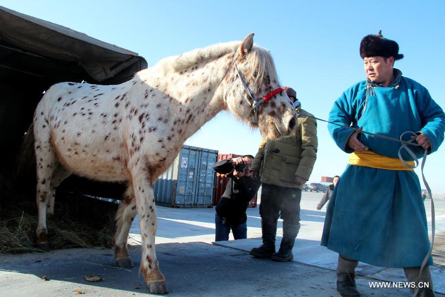 Two horses from Mongolia arrived in China on Thursday, as gifts delivered by Mongolian Presisent Tsakhiagiin Elbegdorj to Chinese President Xi Jinping and his wife Peng Liyuan during their state visit in Mongolia on Aug. 21 - 22 last year. Xi also gave names to them.