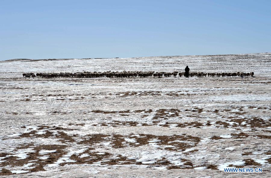 #CHINA-YEAR OF GOAT (CN)