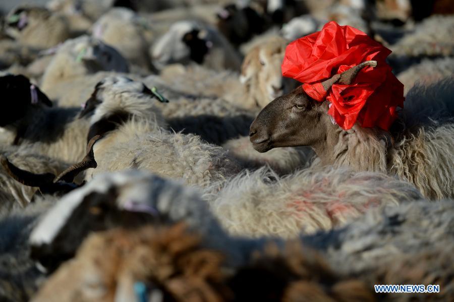 #CHINA-YEAR OF GOAT (CN)