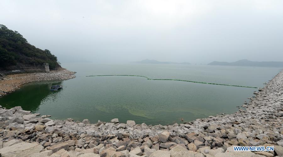 CHINA-HONG KONG-PLOVER COVE RESERVOIR (CN)