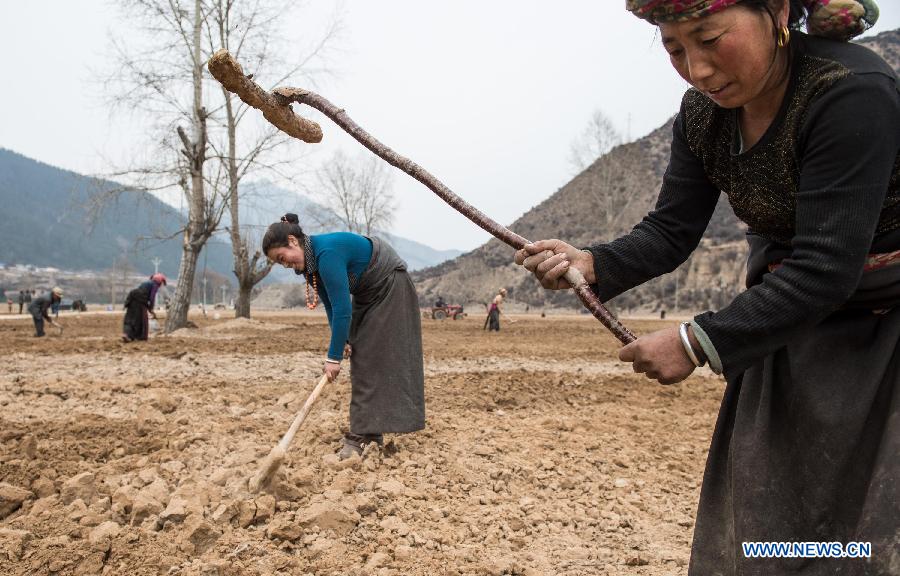CHINA-SICHUAN-SPRING PLOUGING (CN)