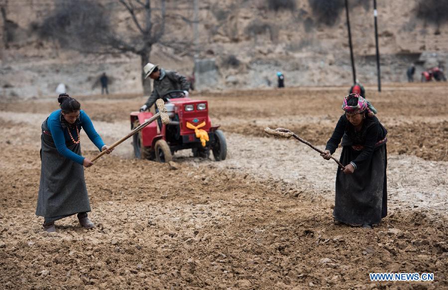 CHINA-SICHUAN-SPRING PLOUGING (CN)