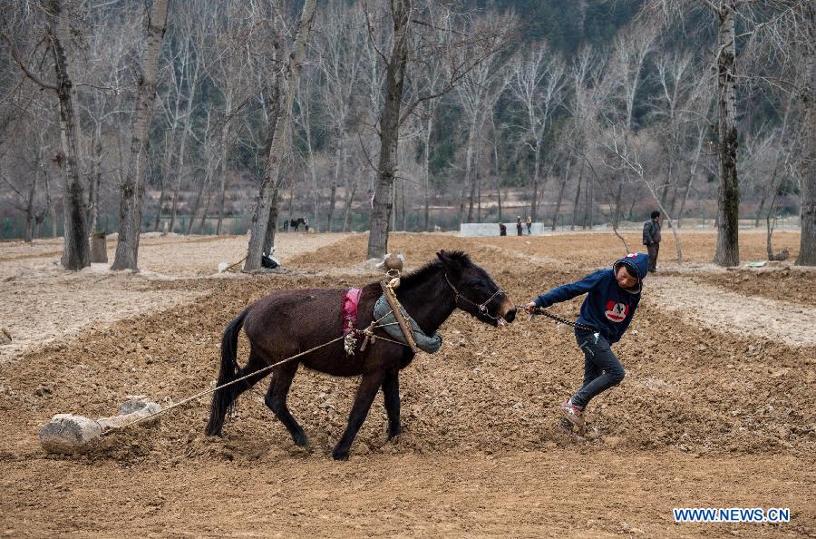 CHINA-SICHUAN-SPRING PLOUGING (CN)