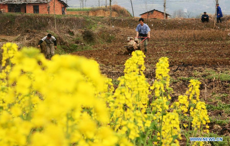 #CHINA-FARMING SEASON-SPRING PLOUGHING (CN)