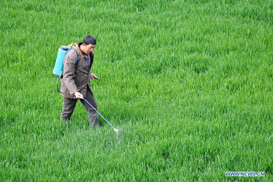 #CHINA-FARMING SEASON-SPRING PLOUGHING (CN)