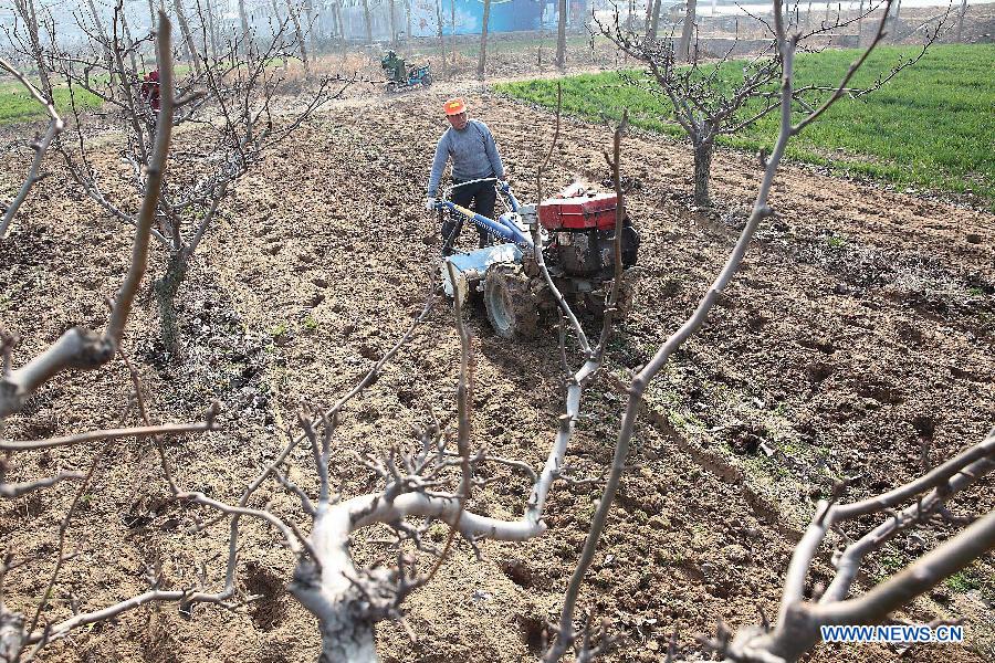 #CHINA-FARMING SEASON-SPRING PLOUGHING (CN)