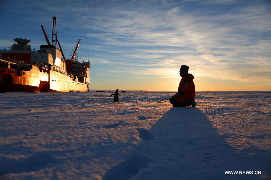 Chinese icebreaker Xuelong, or Snow Dragon, began its return journey on Monday after an over three-month expedition in Antarctica. 