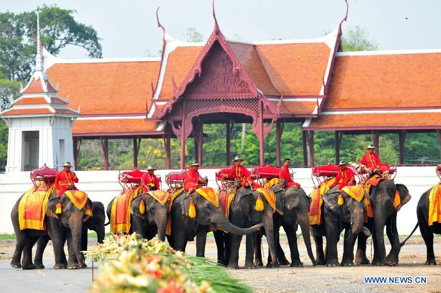 Photo taken on March 13, 2015 shows elephants reacting as they parade during an elephant buffet on National Elephant Day in the ancient historical city of Ayutthaya, Thailand.